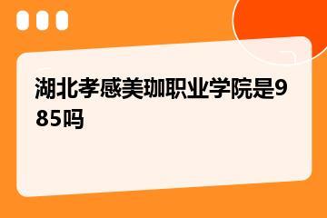 湖北孝感美珈职业学院是985吗？