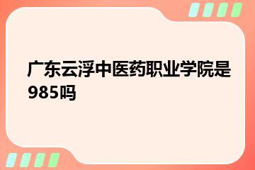 广东云浮中医药职业学院是985吗？