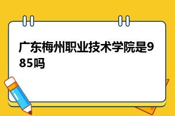 广东梅州职业技术学院是985吗？