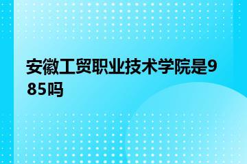 安徽工贸职业技术学院是985吗？