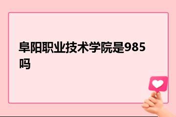 阜阳职业技术学院是985吗？