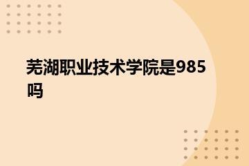 芜湖职业技术学院是985吗？