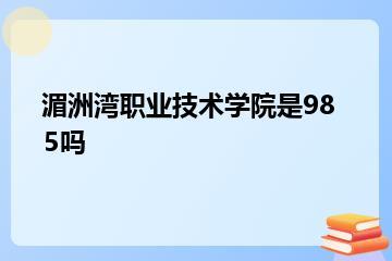 湄洲湾职业技术学院是985吗？