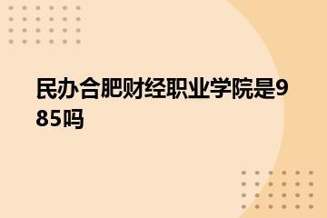民办合肥财经职业学院是985吗？