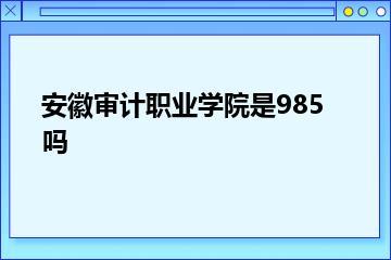 安徽审计职业学院是985吗？