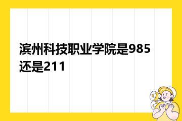 滨州科技职业学院是985还是211？