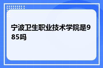 宁波卫生职业技术学院是985吗？