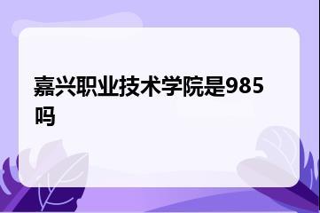 嘉兴职业技术学院是985吗？