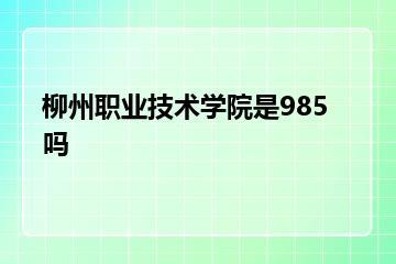 柳州职业技术学院是985吗？