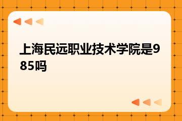 上海民远职业技术学院是985吗？