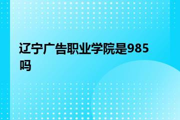 辽宁广告职业学院是985吗？