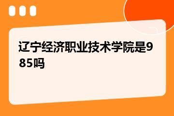辽宁经济职业技术学院是985吗？