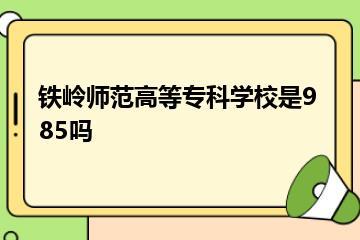 铁岭师范高等专科学校是985吗？