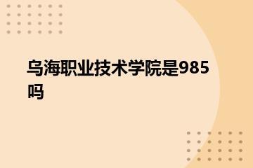 乌海职业技术学院是985吗？
