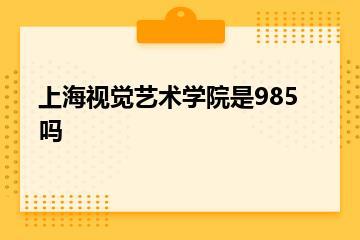 上海视觉艺术学院是985吗？