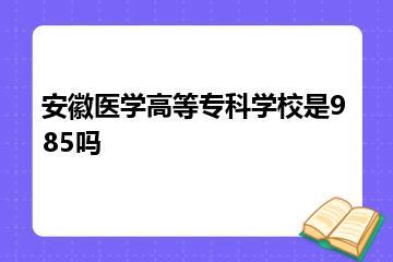 安徽医学高等专科学校是985吗？