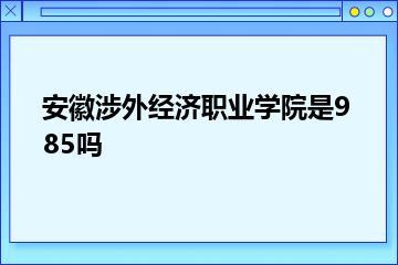 安徽涉外经济职业学院是985吗？