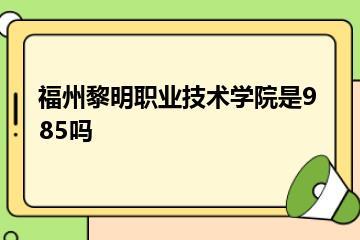 福州黎明职业技术学院是985吗？