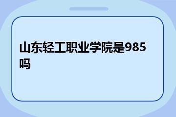 山东轻工职业学院是985吗？