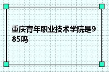 重庆青年职业技术学院是985吗？