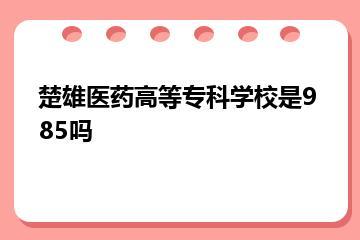 楚雄医药高等专科学校是985吗？