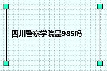 四川警察学院是985吗？