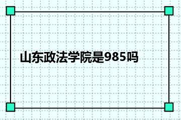 山东政法学院是985吗？