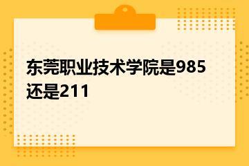 东莞职业技术学院是985还是211？