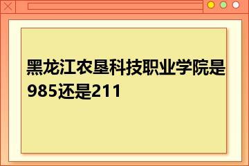 黑龙江农垦科技职业学院是985还是211？