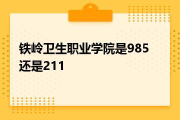 铁岭卫生职业学院是985还是211？