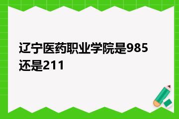 辽宁医药职业学院是985还是211？