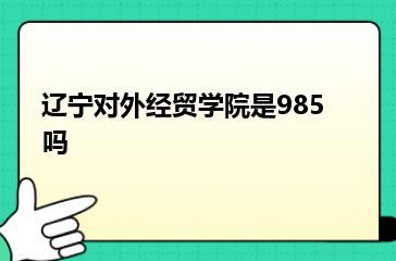 辽宁对外经贸学院是985吗？