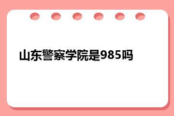 山东警察学院是985吗？