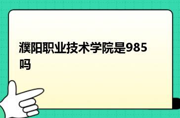 濮阳职业技术学院是985吗？