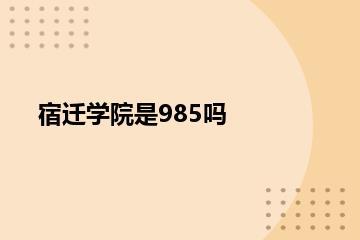宿迁学院是985吗？