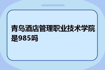 青岛酒店管理职业技术学院是985吗？