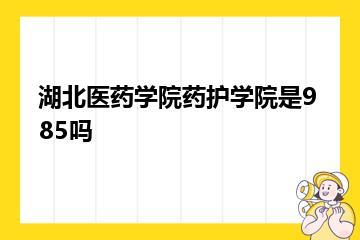 湖北医药学院药护学院是985吗？