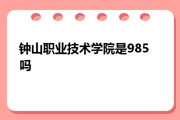 钟山职业技术学院是985吗？