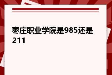 枣庄职业学院是985还是211？