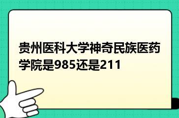 贵州医科大学神奇民族医药学院是985还是211？