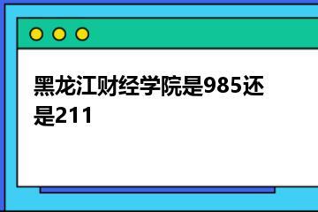 黑龙江财经学院是985还是211？