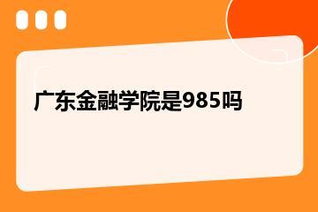 广东金融学院是985吗？