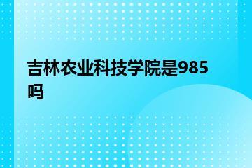 吉林农业科技学院是985吗？