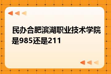 民办合肥滨湖职业技术学院是985还是211？