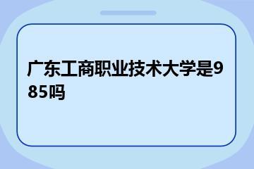 广东工商职业技术大学是985吗？