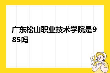 广东松山职业技术学院是985吗？