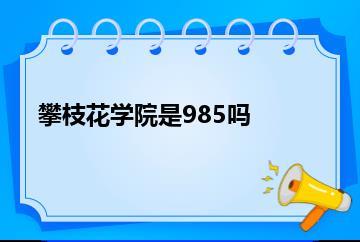 攀枝花学院是985吗？