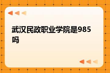 武汉民政职业学院是985吗？