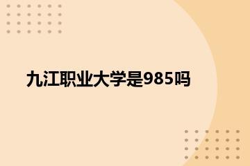 九江职业大学是985吗？