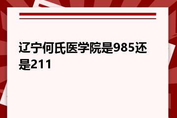 辽宁何氏医学院是985还是211？